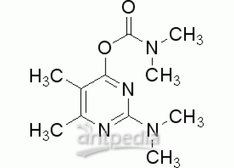 抗蚜威标准溶液，23103-98-2，analytical standard,10μg/ml in acetone
