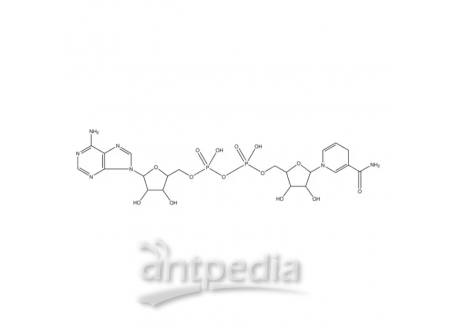 还原型 β-烟酰胺腺嘌呤二核苷酸 二钾盐，104809-32-7，≥95%