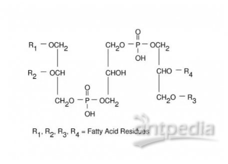 心磷脂 溶液 来源于牛心脏，4.7-5.3 mg/mL in ethanol, ≥97% (TLC)