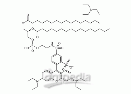 罗丹明DHPE [罗丹明B 1,2-双十六烷酰基-sn-甘油-3-磷酸乙醇胺,三乙铵盐]，126111-99-7