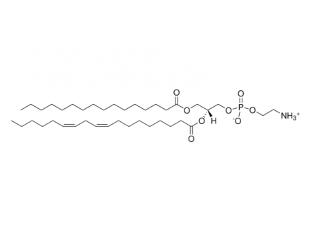 L-α-磷脂酰乙醇胺(大豆)，97281-51-1，>99%
