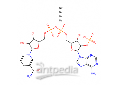 还原辅酶Ⅱ四钠盐(β-NADPH)，2646-71-1，95%