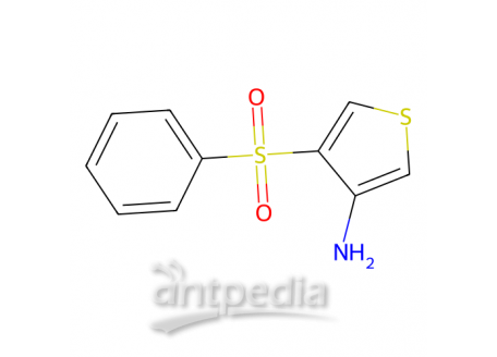 4-（苯基磺酰氯）噻酚-3-胺，175201-60-2，95%