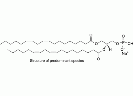 L-α-磷脂酸(大豆)(钠盐)，475995-54-1，>99%