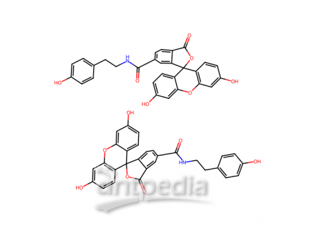 荧光素酪酰胺，210236-90-1，≥95%(HPLC)