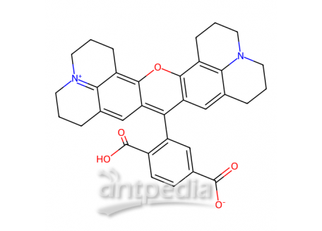 6-羧基-X-罗丹明，194785-18-7，≥95%