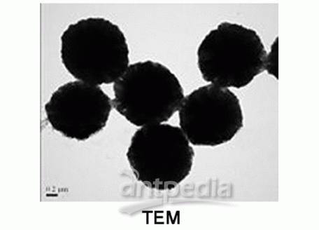 γ-三氧化二铁磁性微球，1309-37-1，基质:SiO2,表面基团:-Epoxy,粒径:2-3μm,单位:10mg/ml