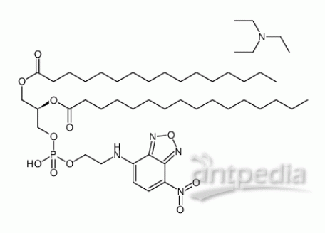 NBD-PE [N-(7-硝基苯-2-氧杂-1,3-二唑-4-基)-1,2-二十六烷酰基-sn-甘油-3-磷酸乙醇胺,三乙铵盐]，178119-00-1，95%