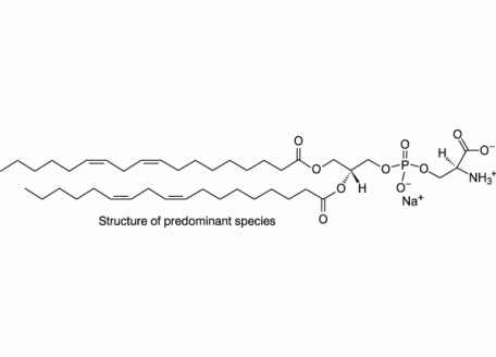 L-α-磷脂酰丝氨酸(大豆,99％)(钠盐)，383908-63-2，>99%