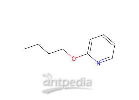 2-丁氧基吡啶，27361-16-6，>97.0%(GC)