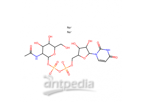 尿苷-5′-二磷酸-N-乙酰基-葡糖胺钠盐，91183-98-1，95%