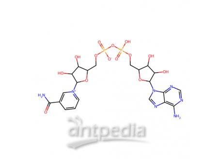 β-烟酰胺腺嘌呤二核苷酸(NAD)，53-84-9，97%