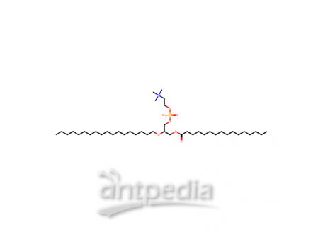 氢化L-α-磷脂酰胆碱(鸡蛋)，97281-45-3，99%