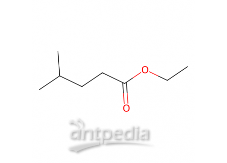 异己酸乙酯，25415-67-2，97.0% (GC)