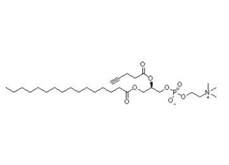 1-棕榈酰基-2-炔丙基乙酰磷脂酰胆碱，1353897-91-2，98%