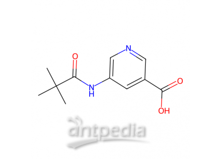 5-(2,2-二甲基-丙酰氨基)-烟酸，879326-77-9，95%