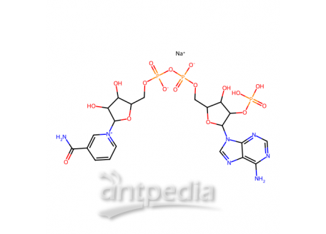 β-烟酰胺腺嘌呤二核苷酸磷酸钠盐(NADP)，1184-16-3，97%