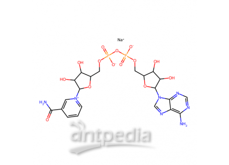 β-烟酰胺腺嘌呤二核苷酸 钠盐，20111-18-6，≥95%(HPLC)
