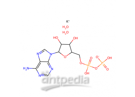 腺苷 5′-二磷酸 单钾盐 二水合物，72696-48-1，≥95%