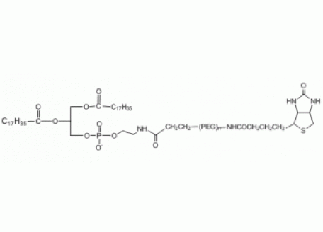二硬脂酰磷脂酰乙酰胺-聚乙二醇-生物素，MW 20000 Da