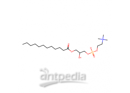 1-月桂基-2-羟基-sn-甘油-3-磷酸胆碱，20559-18-6，>99%
