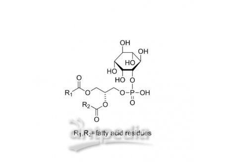 磷脂酰肌醇，97281-52-2，50%