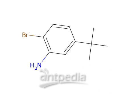 2-溴-5-(叔丁基)苯胺，58164-14-0，98%