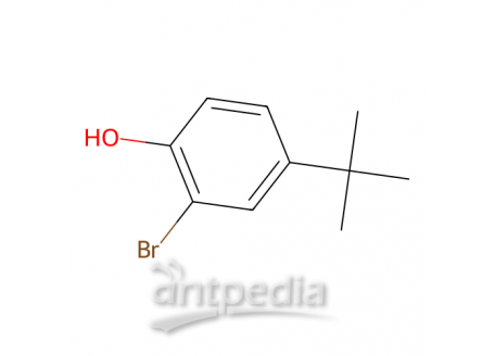 2-溴-4-叔丁基苯酚，2198-66-5，97%