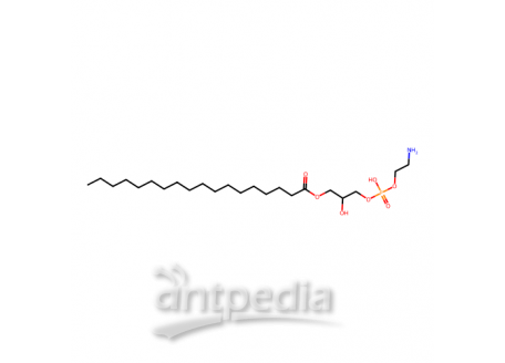 L-α-溶血磷脂酰乙醇胺(鸡蛋)，97281-40-8，>99%