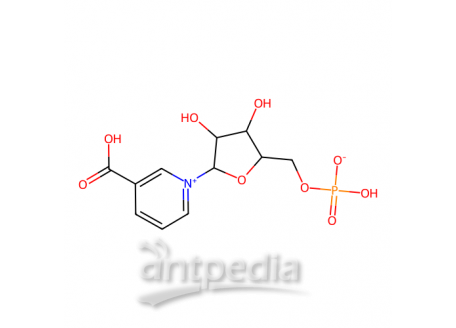 烟酸单核苷酸，321-02-8，95%