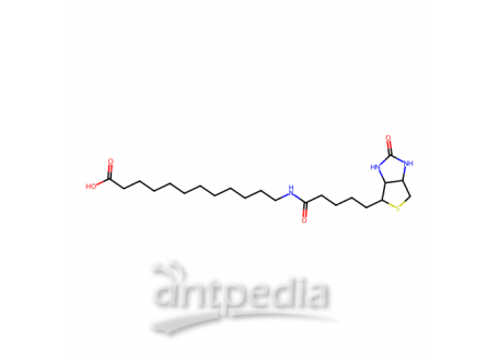 N-生物素十二烷基酸，135447-73-3，98%