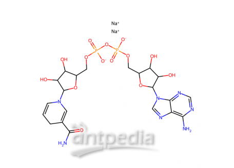 还原型辅酶I 二钠(β-NADH)，606-68-8，98%