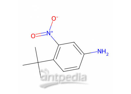 3-硝基-4-叔丁基苯胺，31951-12-9，98%