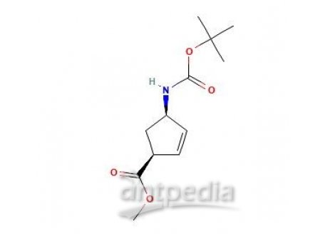 (1S,4R)-甲基-4-((叔丁氧羰基)氨基)环戊-2-烯羧酸，168683-02-1，97%