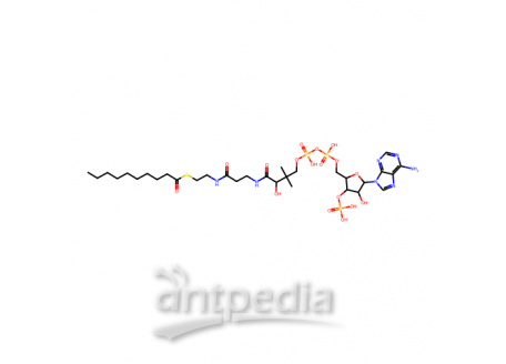 癸酰辅酶 A 水合物，1264-57-9，≥90%