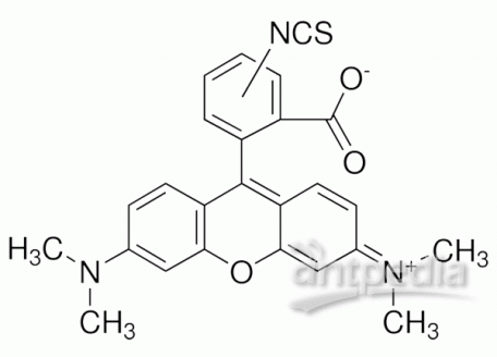 四甲基罗丹明-5(6)-异硫氰酸酯，95197-95-8，用于荧光,异构体混合物