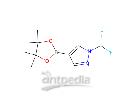 1-(二氟甲基)-4-硼酸频哪醇酯基-1H-吡唑，1206640-82-5，97%