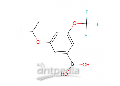 (3-异丙氧基-5-(三氟甲氧基)苯基)硼酸（含有数量不等的酸酐），1256346-01-6，97%