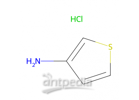 噻吩-3-胺盐酸盐，25475-76-7，95%