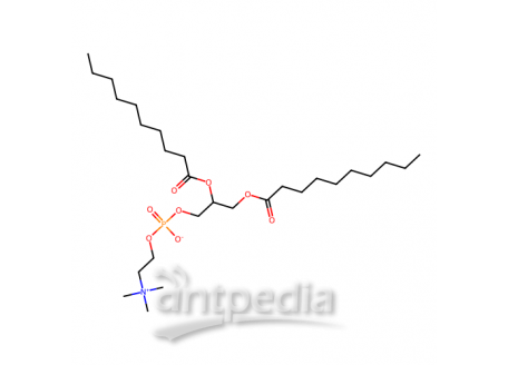 1,2-二癸酰基-sn-甘油-3-磷酸胆碱，3436-44-0，>99%