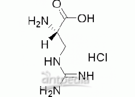 L-3-胍基丙氨酸盐酸盐