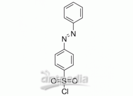 偶氮苯-4-磺酰氯
