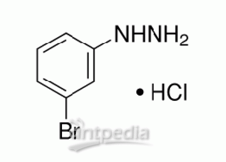 3-溴苯肼盐酸盐