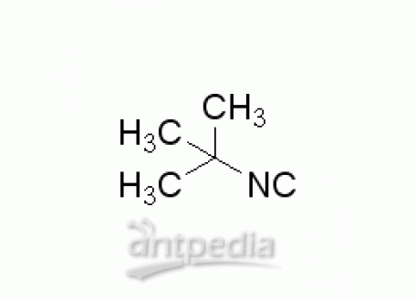 异氰酸叔丁酯