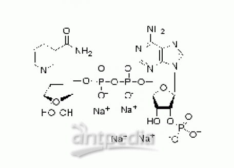 还原辅酶Ⅱ四钠盐(β-NADPH)