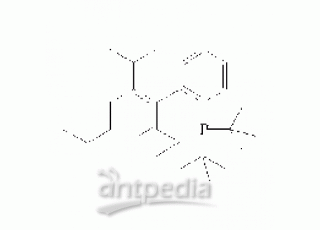 2 - 二叔丁基膦-2