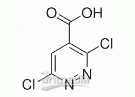 3,6-二氯哒嗪-4-甲酸