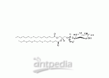 1,2-dipalmitoyl-sn-glycero-3-phospho-(1