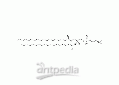 1,2-二硬脂酰基-sn-丙三基-3-磷酸胆碱