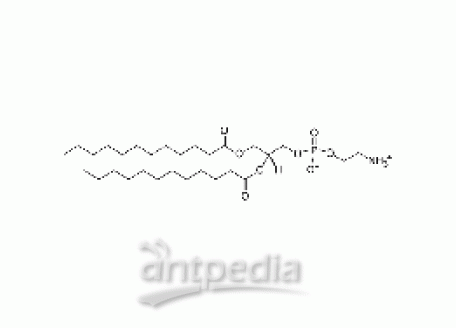 1,2-dilauroyl-sn-glycero-3-phosphoethanolamine
